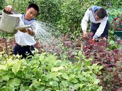 Vietnam moviliza apoyo al pueblo y los combatientes en las islas de Truong Sa